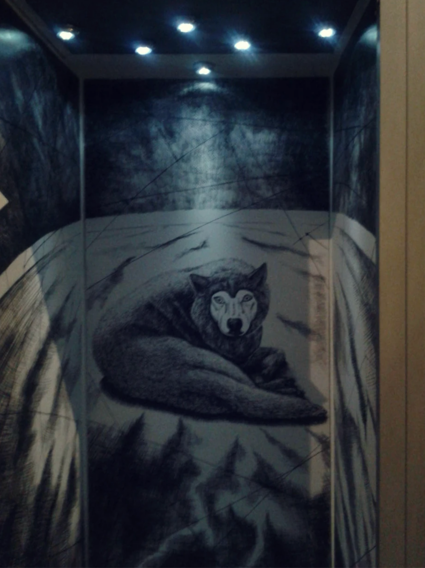 Art City White Night 2013 | 548_anni_luce_la_bestia.