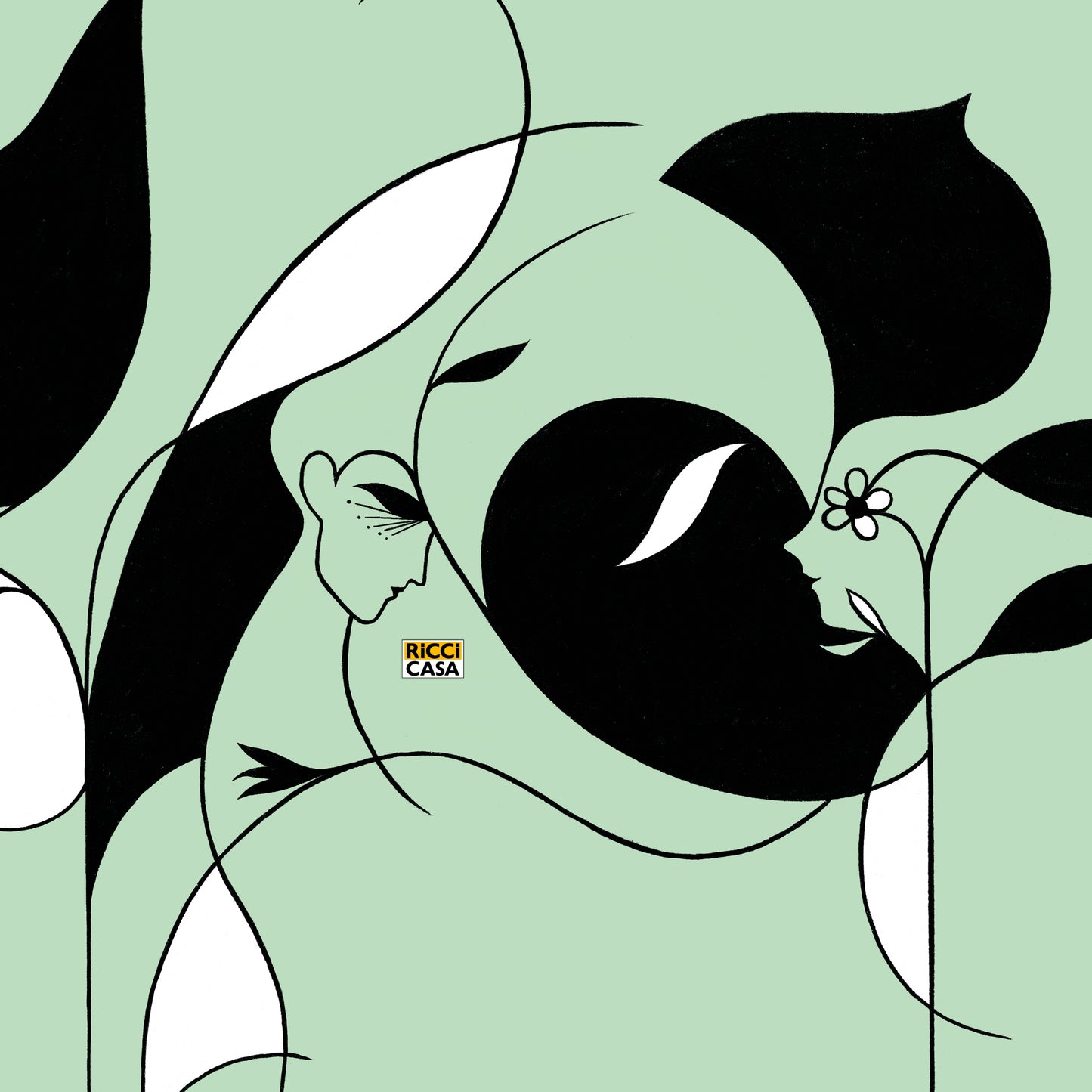 Box | Special project | Ricci Casa