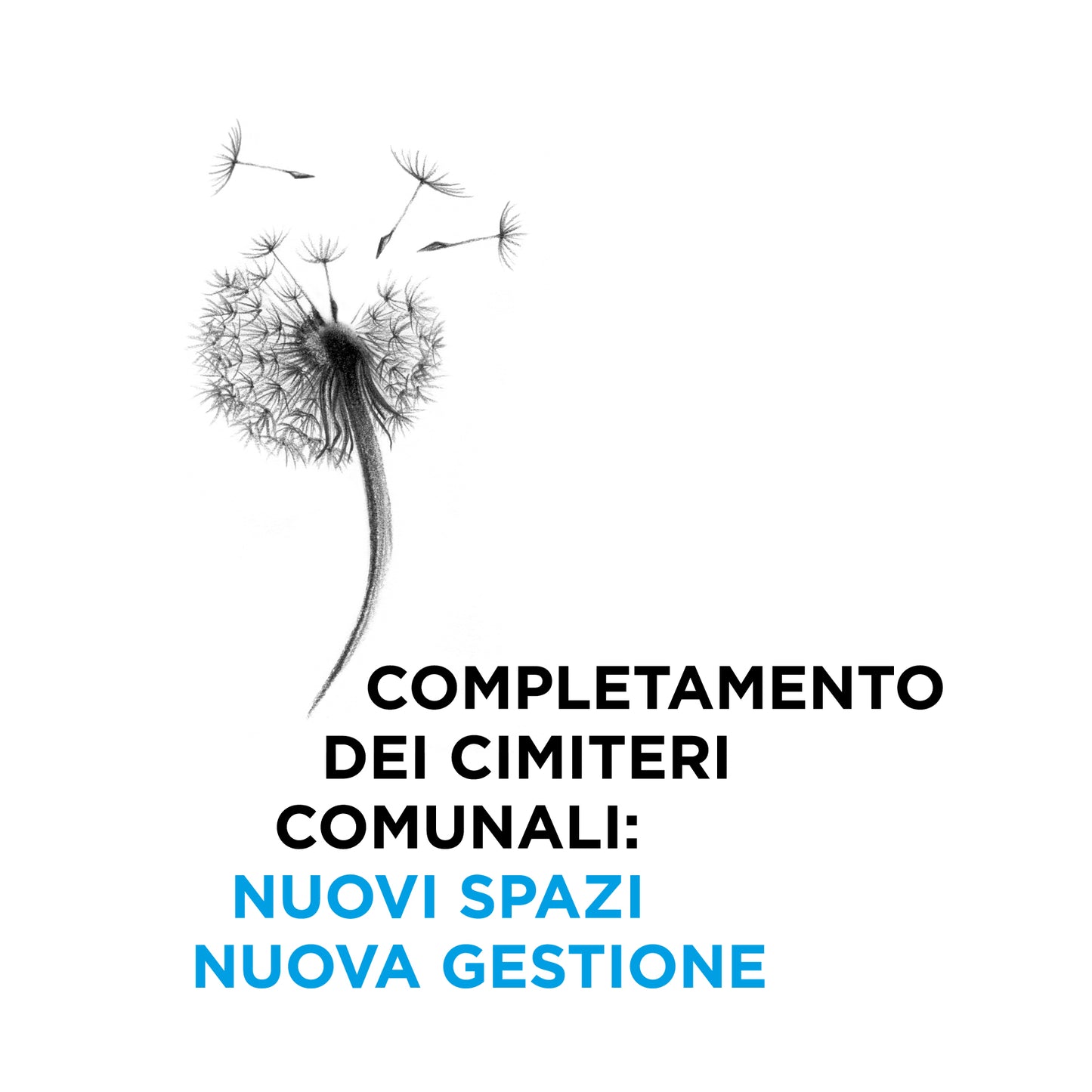 Badia Polesine | Corporete identity